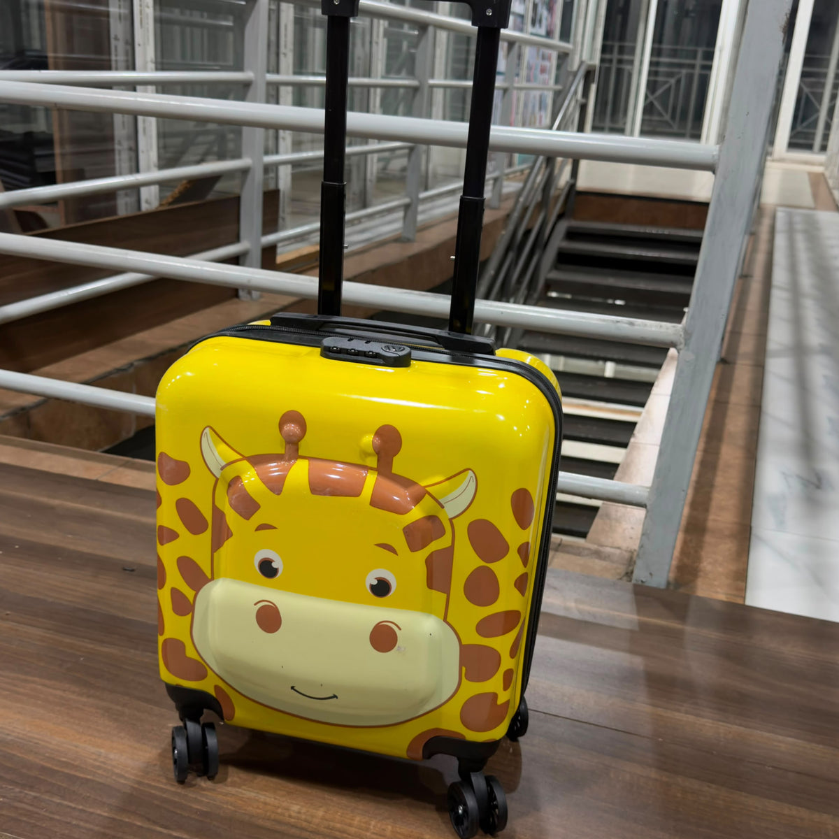 Kids Cartoon Themed Trolley Suitcase