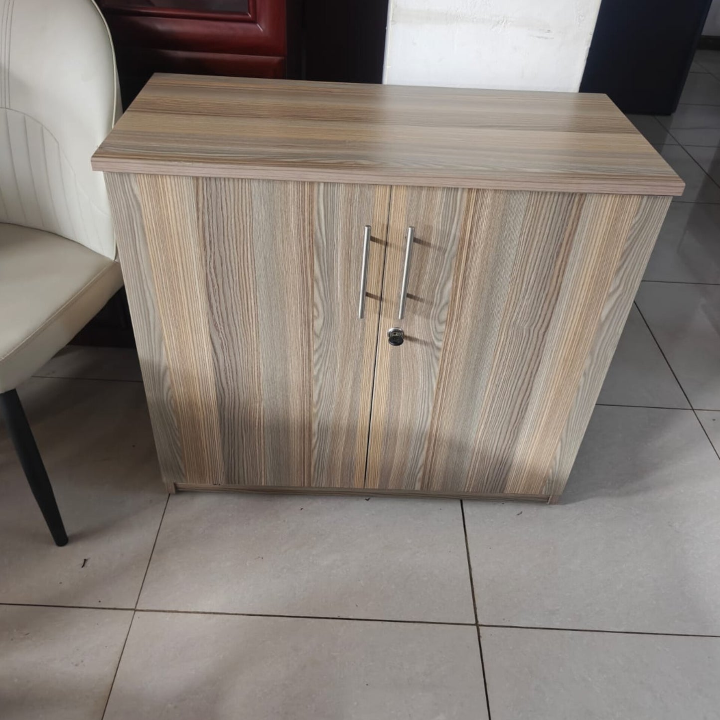 Two-Door Storage Cabinet