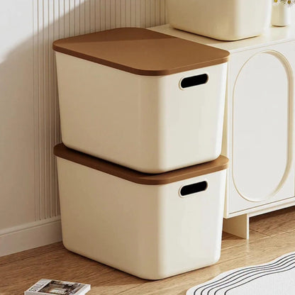 Rectangle PP Plastic Storage Boxes with Lids