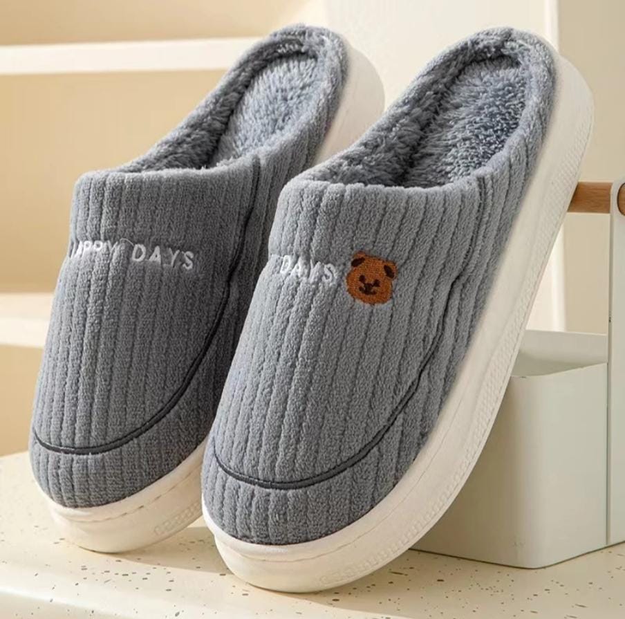 Indoor slippons indoor shoes