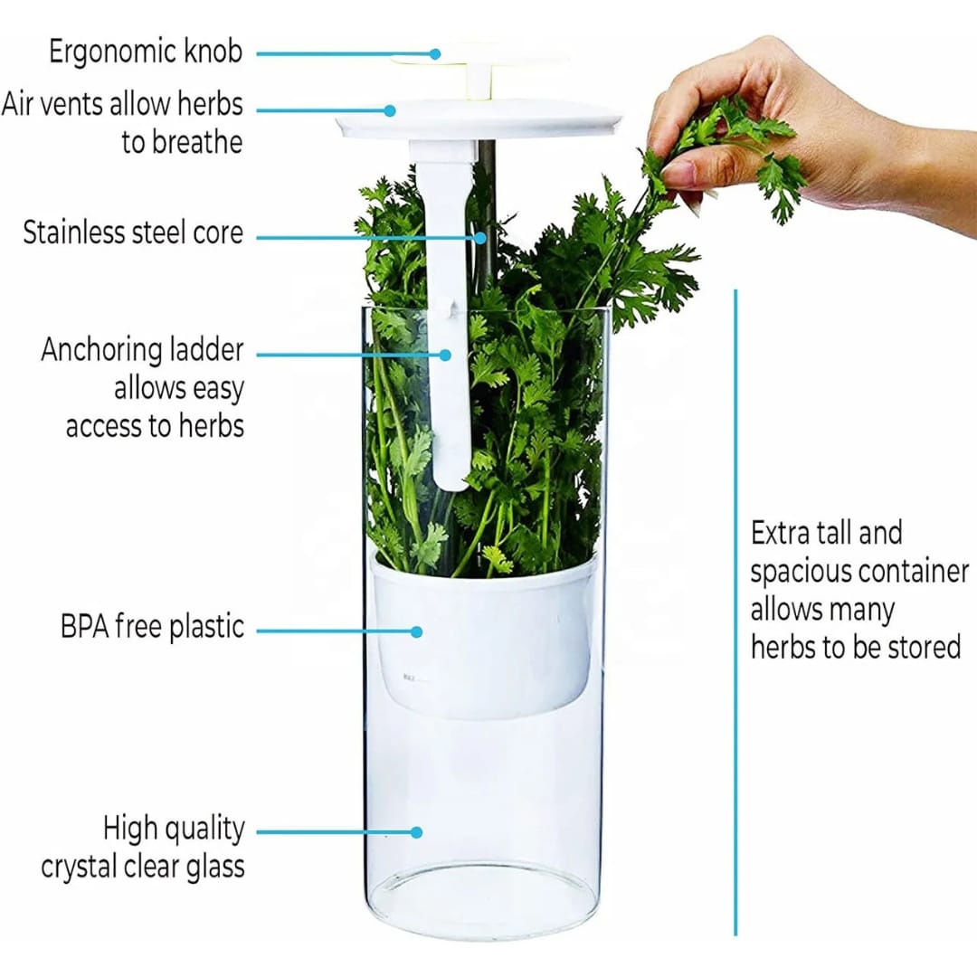 Refrigerator herb / vegetable saver