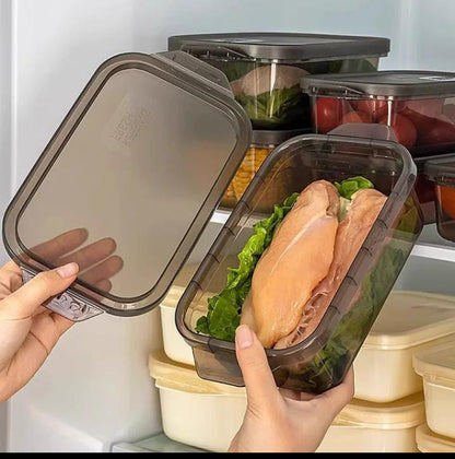 Set of 3 Lunch Boxes 