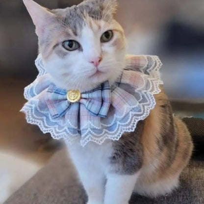 Pet Collar