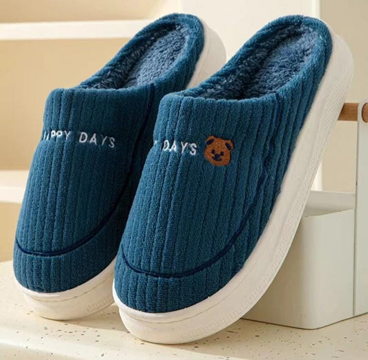 Indoor slippons indoor shoes