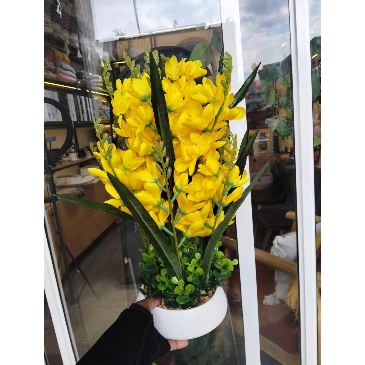 Table Top  Potted Flowers