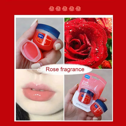 6 In 1 Moisturizing Lip Balm/Lip Care