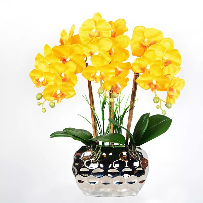 Orchid Flower And Ceramic Pot