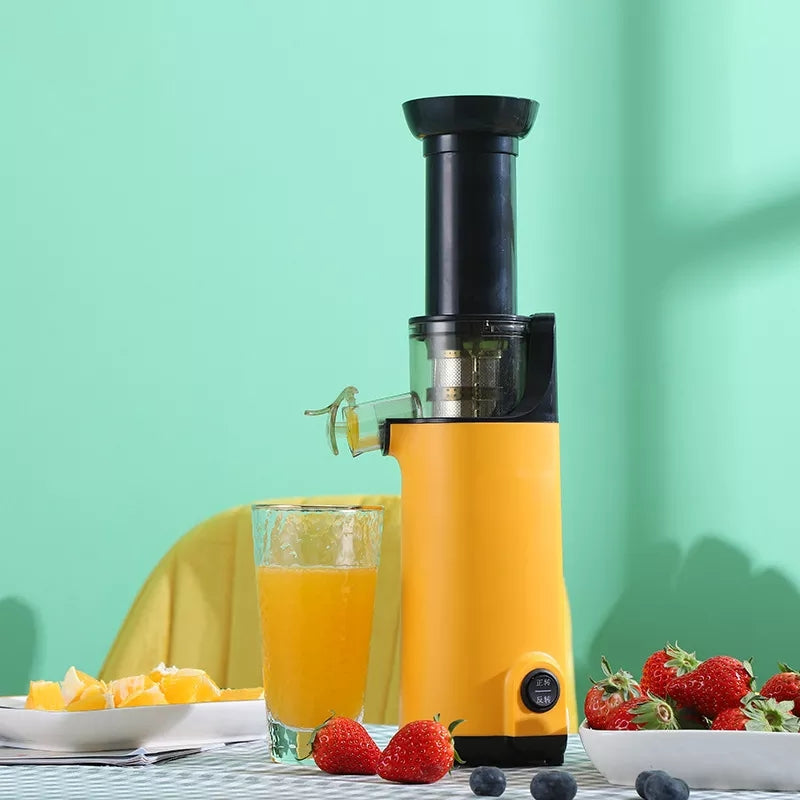 Slow Juicer Blender