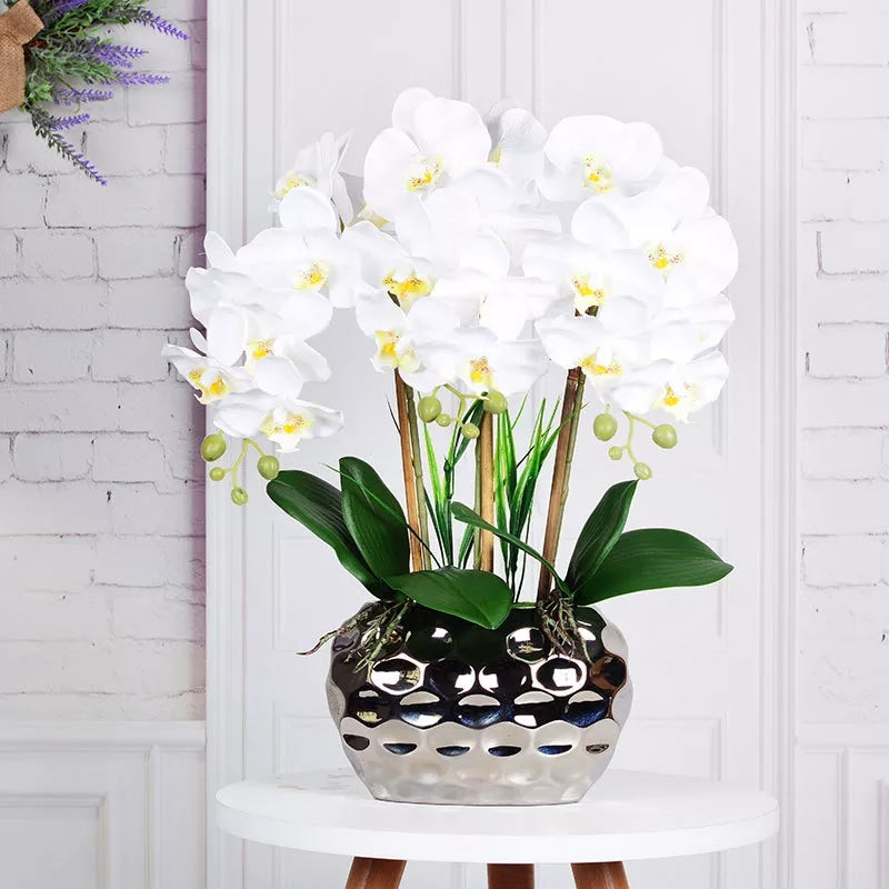 Orchid Flower And Ceramic Pot