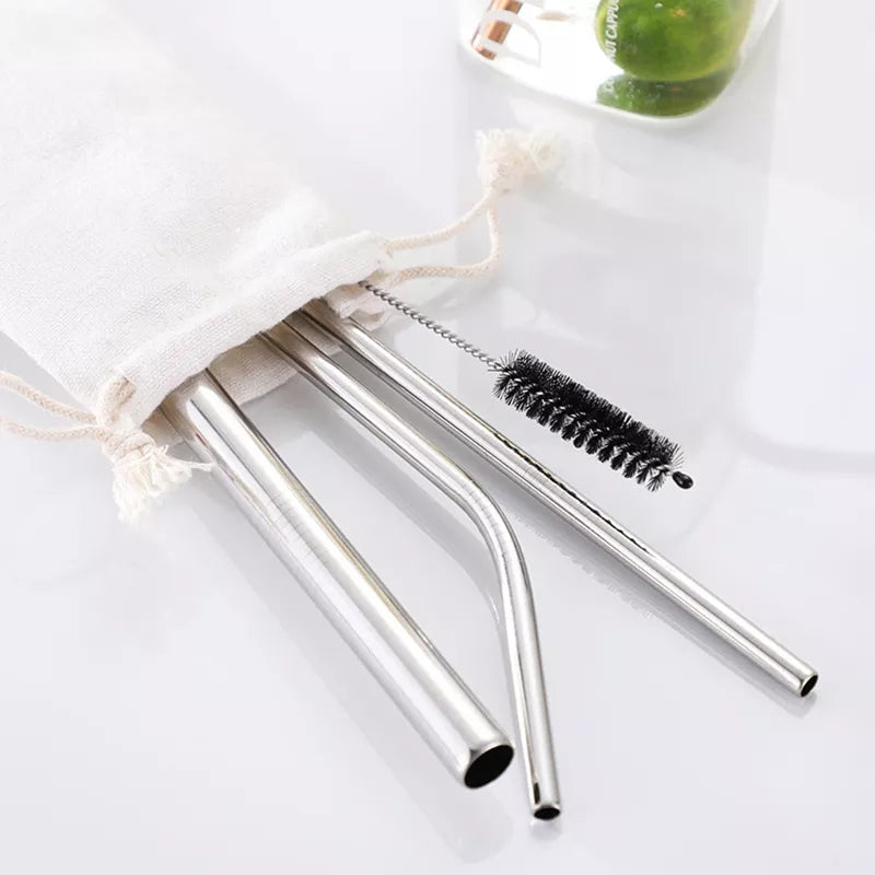 Reusable Metal Straws Pack