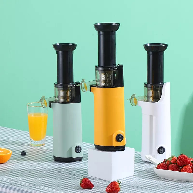 Slow Juicer Blender