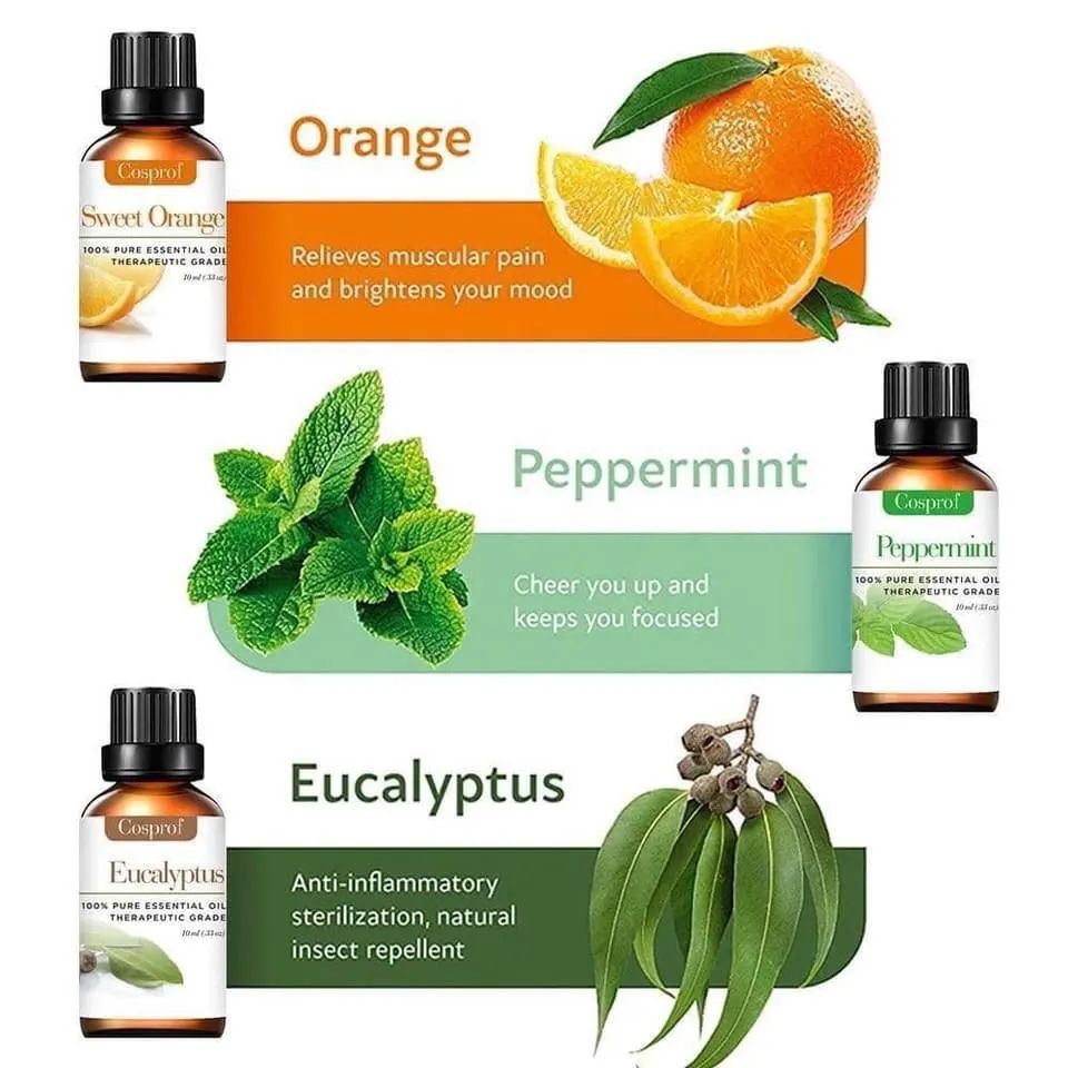 6pc Pure Essential Oils Gift Set
