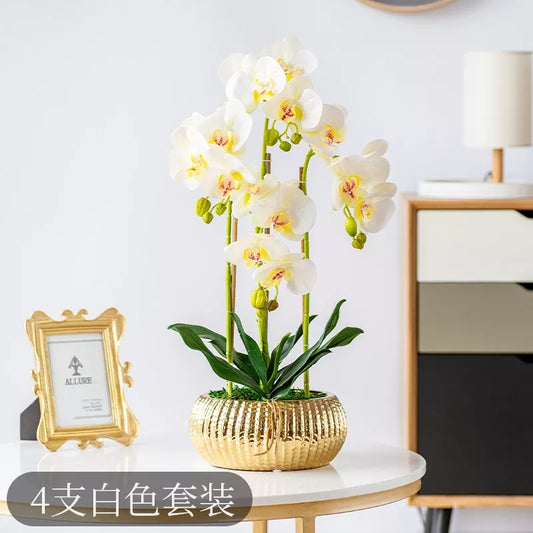 Orchid Flower And Ceramic Pot