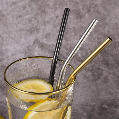 Reusable Metal Straws Pack