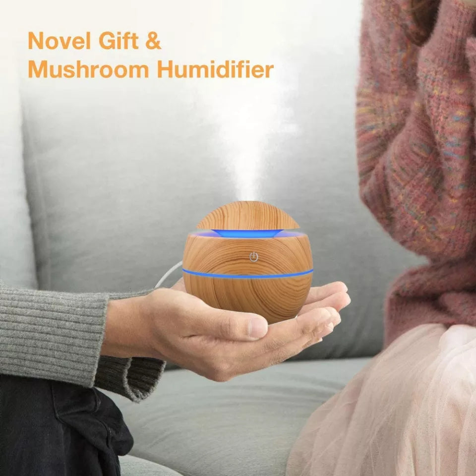 Aromatherapy Diffuser Humidifier