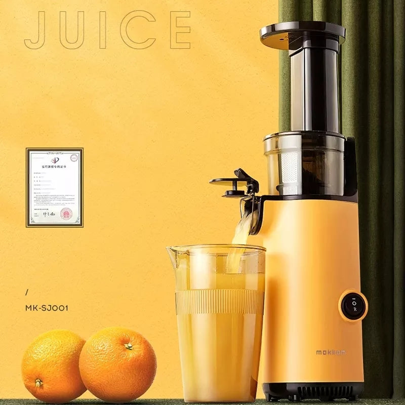 Slow Juicer Blender