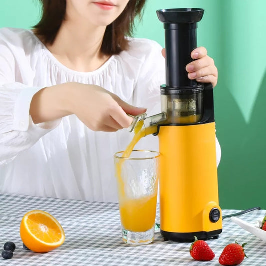 Slow Juicer Blender