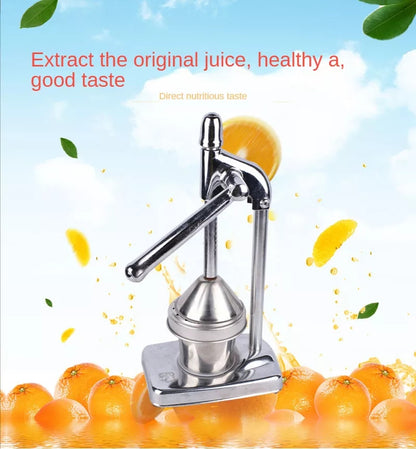 Stainless Steel Fruit Juicer