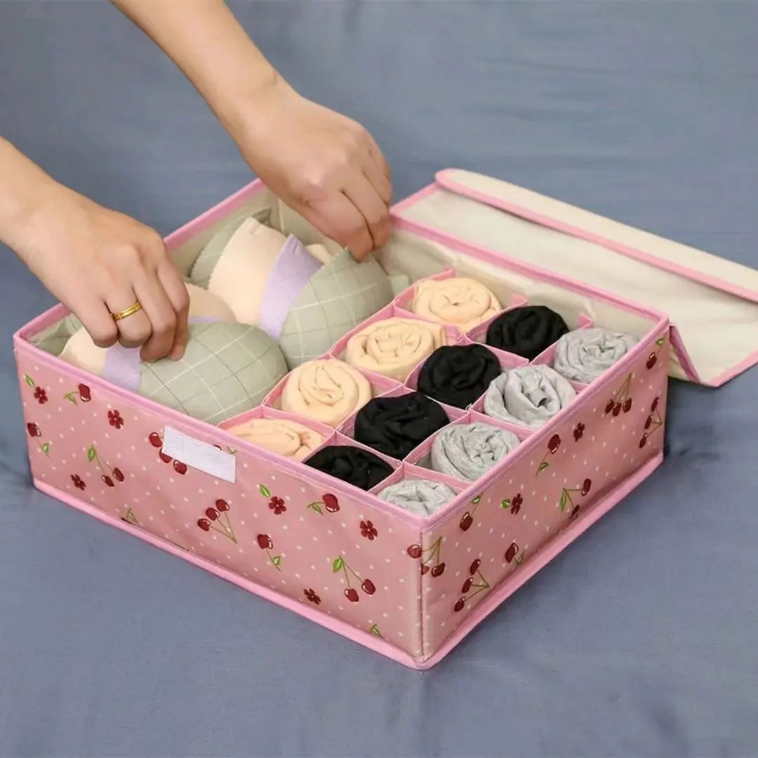 Undergarment Organizer