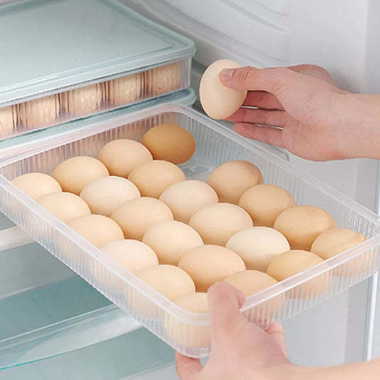 24Pcs Egg Tray