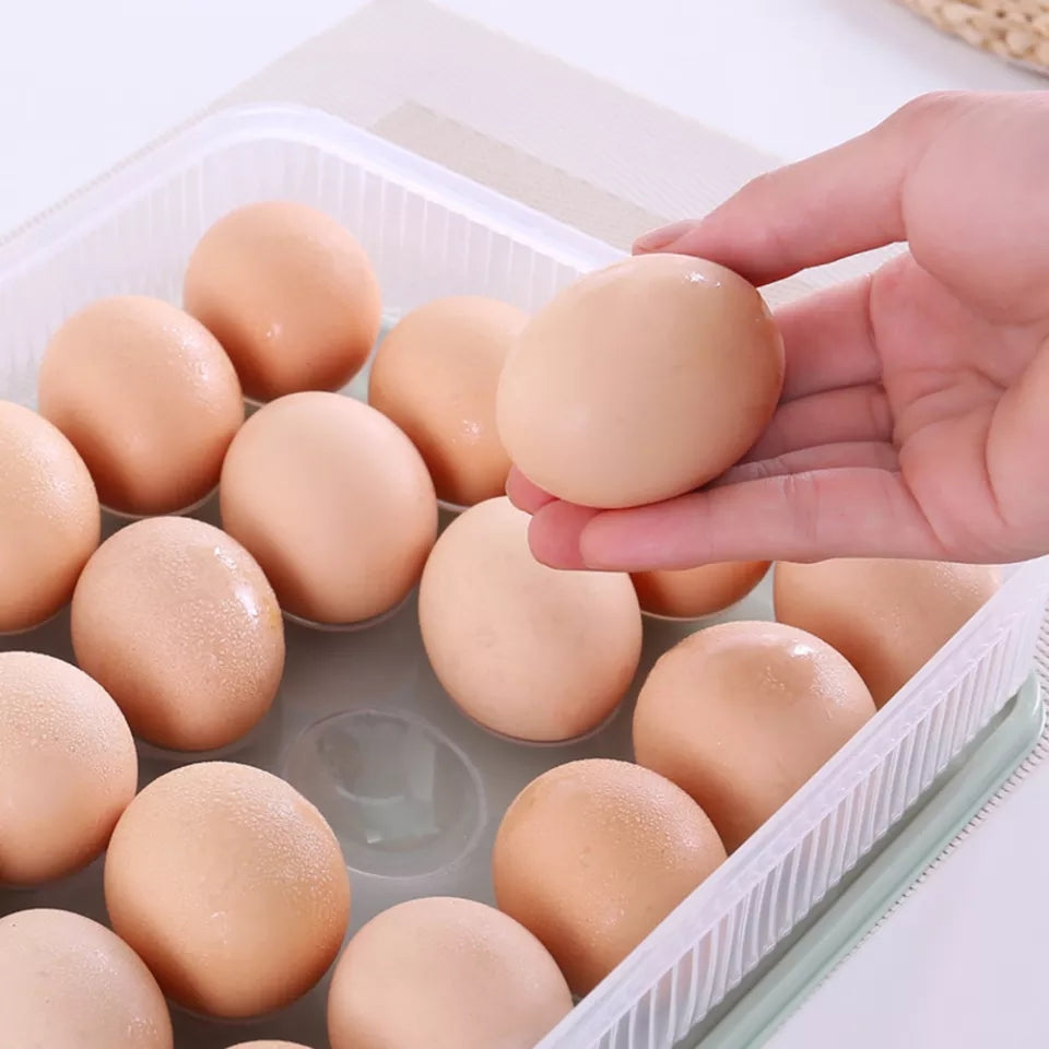 24Pcs Egg Tray