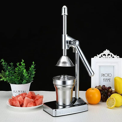 Stainless Steel Fruit Juicer