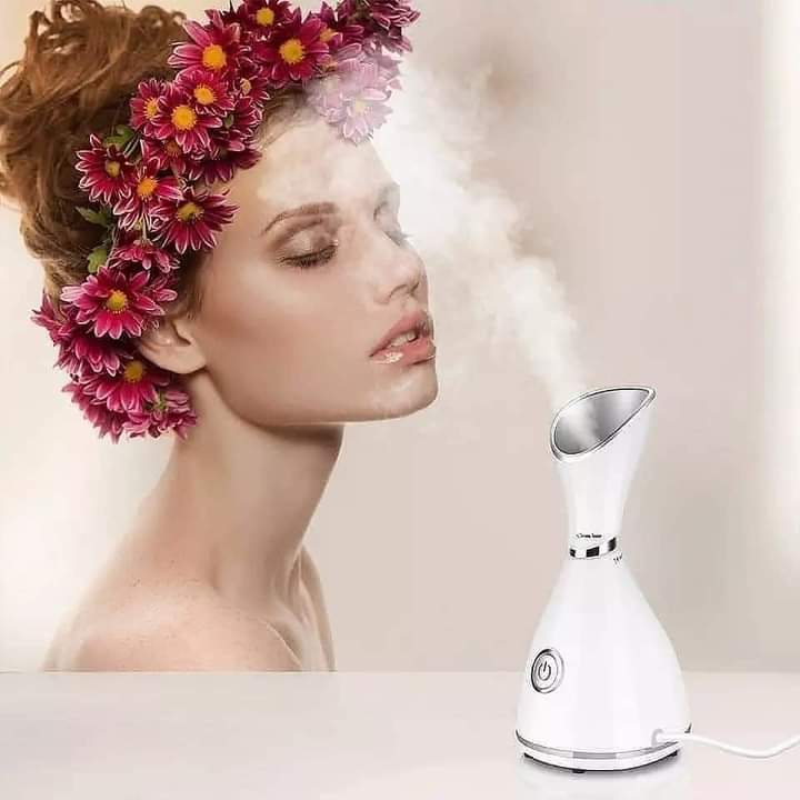 Facial steamer