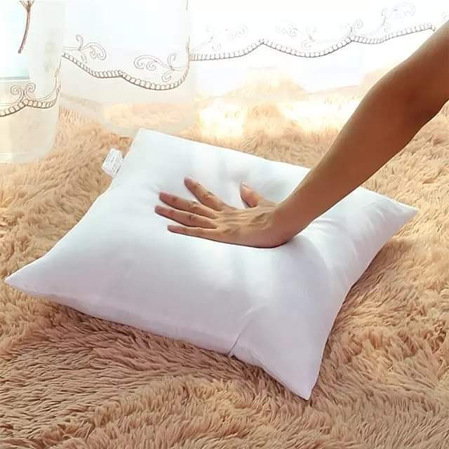 Throw Pillows