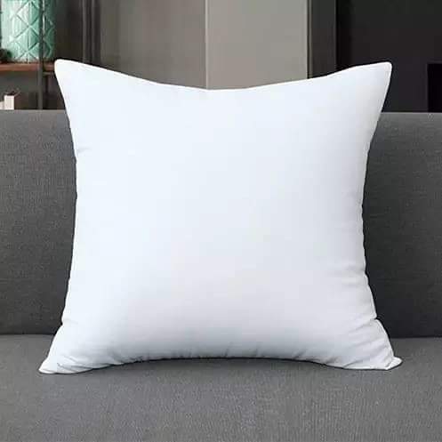 Throw Pillows