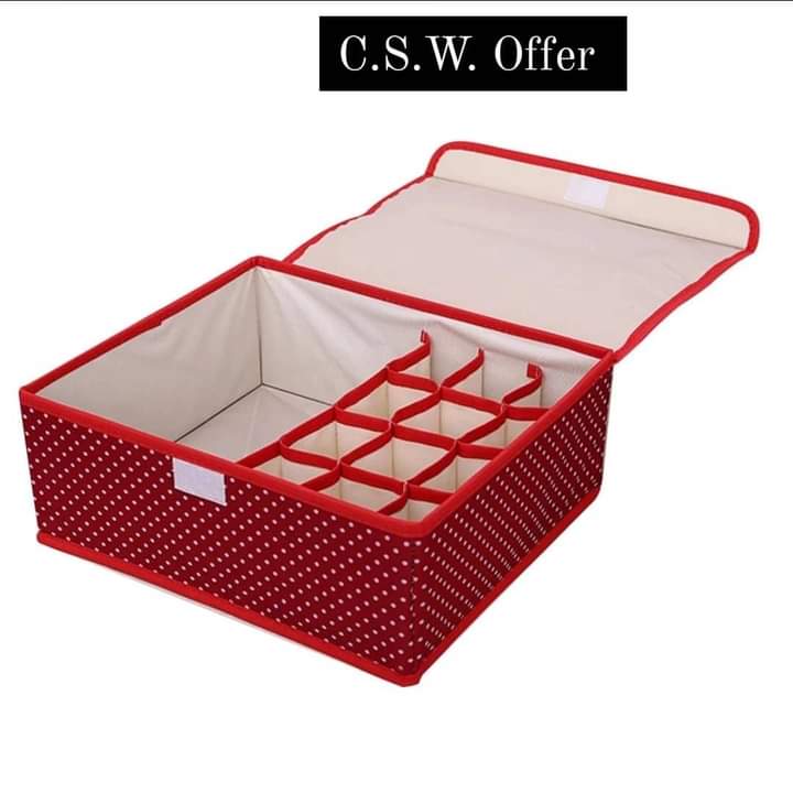 Customer service week offer‼️👉👉Inner garment organiser