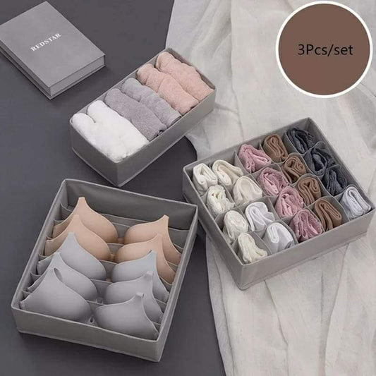 Undergarment 3 in 1 organizer