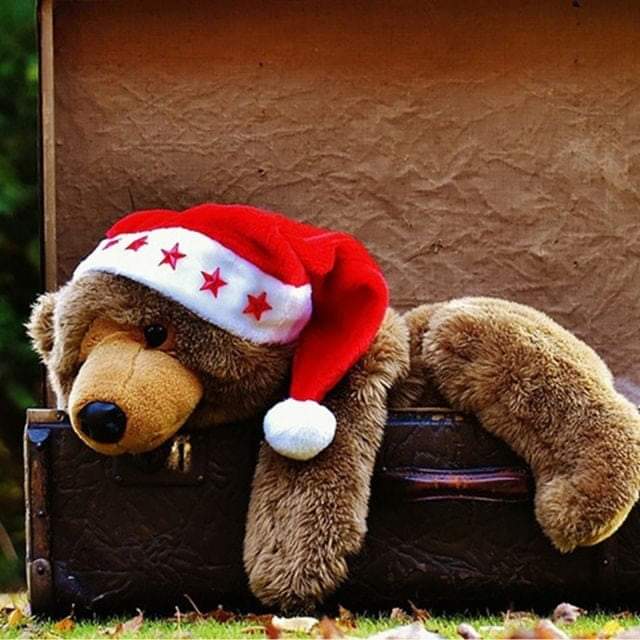 2pc  Christmas hats with lights