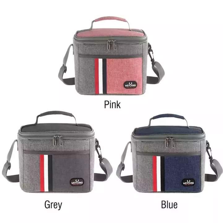 Insulated lunch bag