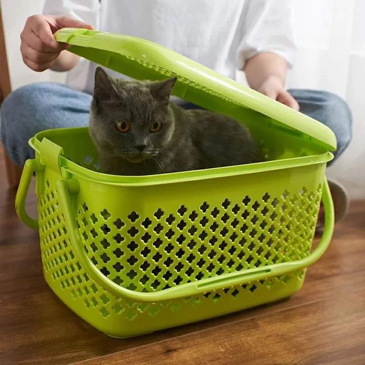 Multipurpose kitchen basket