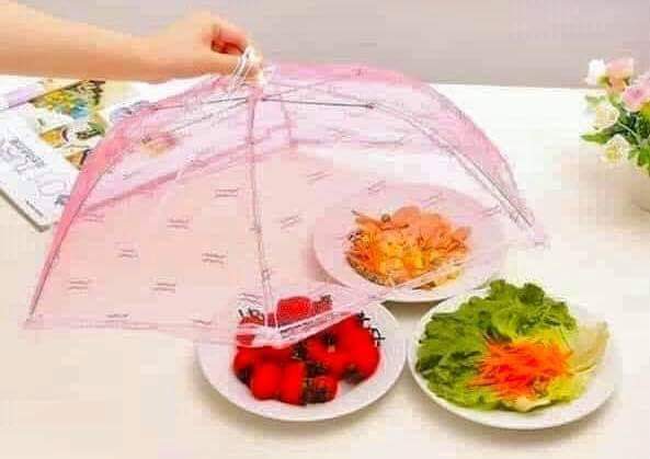 Umbrella food cover