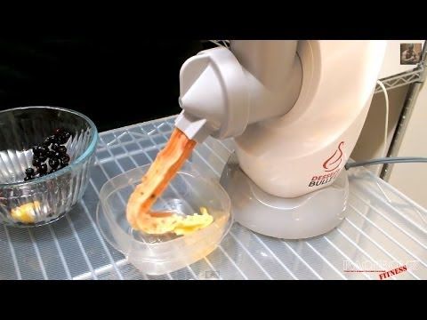 Fruit ice cream maker