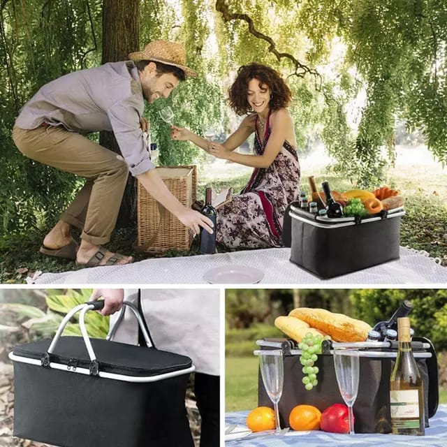 Portable/Foldable Picnic Storage Organizer