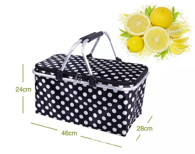 Portable/Foldable Picnic Storage Organizer