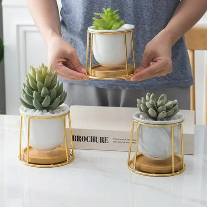 White Succulent Flower Pot