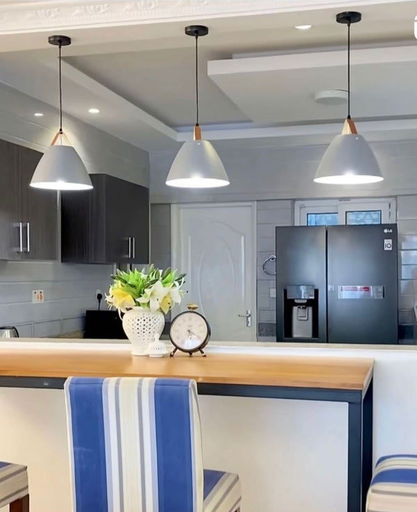 Iron Dome Pendant Light Fixture