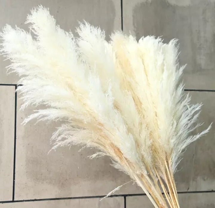 Decoration Pampers Grass