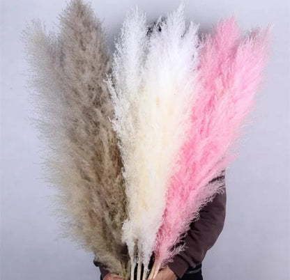 Decoration Pampers Grass