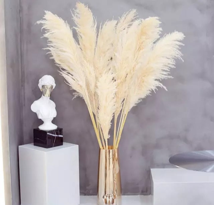 Decoration Pampers Grass