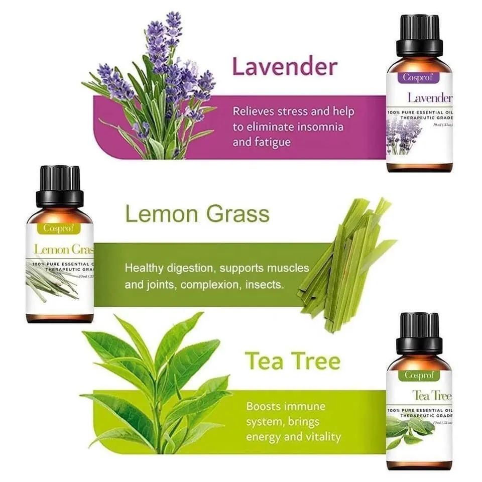 6pc Pure Essential Oils Gift Set