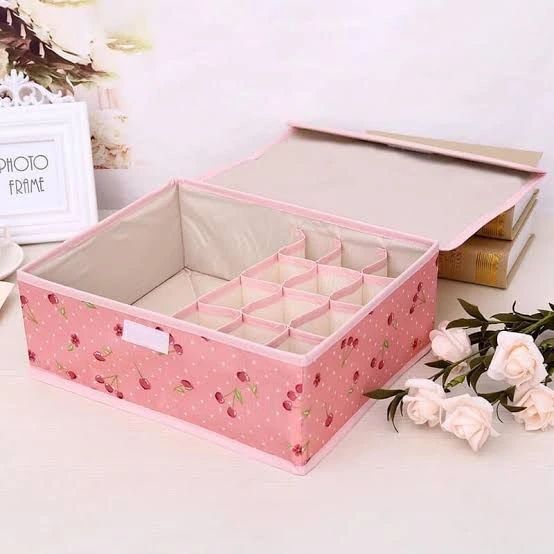 Undergarment Organizer