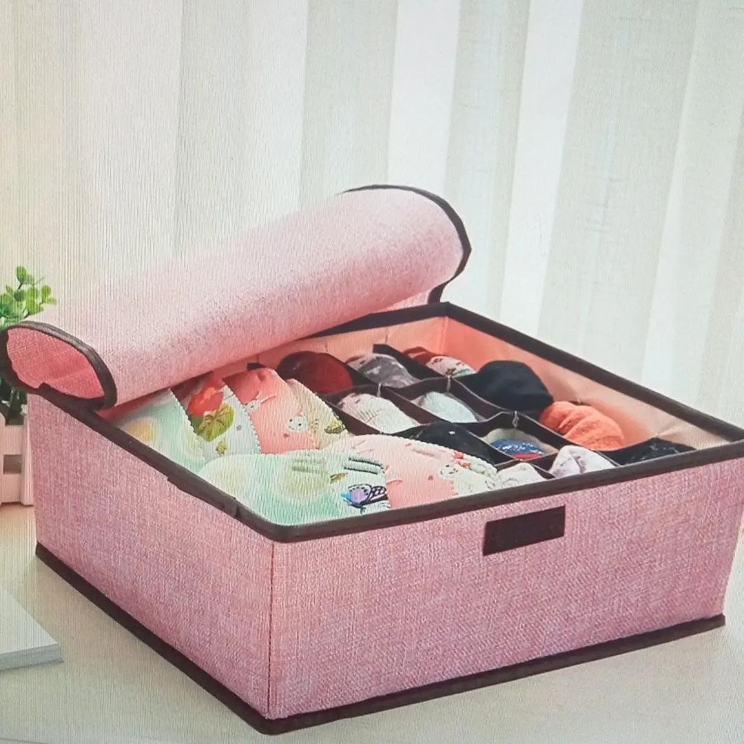Undergarment Organizer