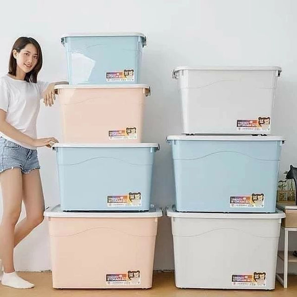 Heavy Duty Plastic Storage Bins with Lids