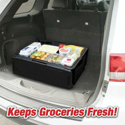 Foldable insulated car cooler box