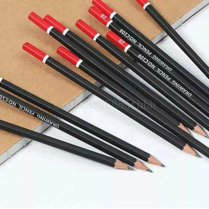 Proffesional Art Drawing Pencil
